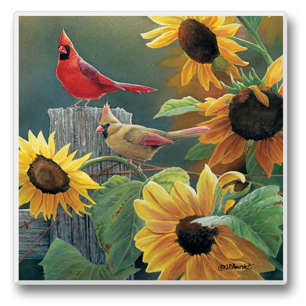 Counterart Absorbent Stone Coasters - Take Flight 9 - Set of 4 - 4x4x149