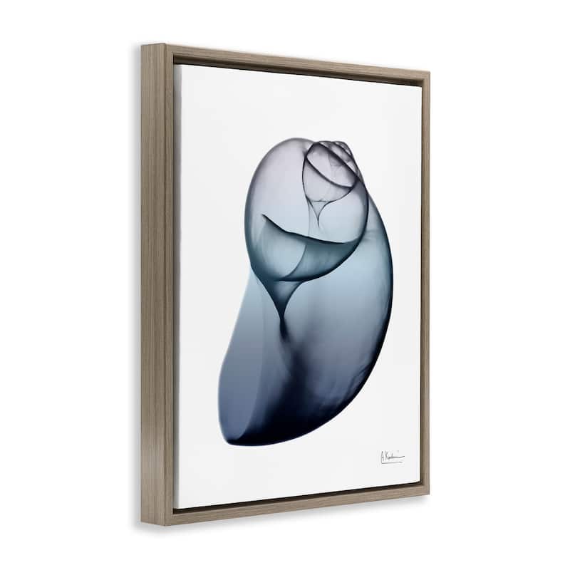 Stupell Contemporary Snail Shell Framed Floater Canvas Wall Art Design by Albert Koetsier