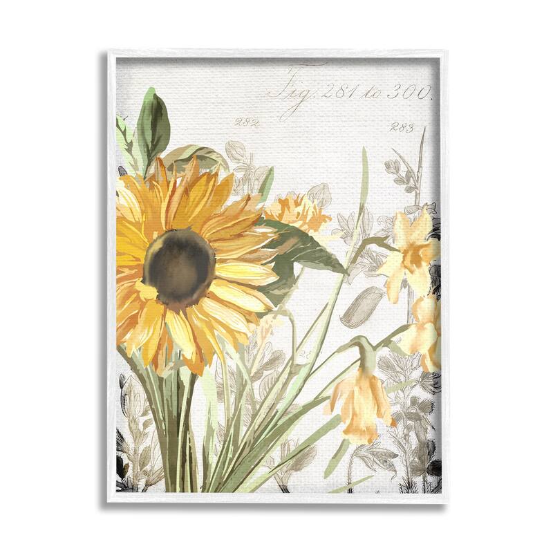Stupell Soft Sunflower Floral over Vintage Plant Illustration Framed Giclee Texturized Art by Kim Allen - 16 x 20 - White