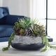 preview thumbnail 2 of 3, Uttermost Yuma Succulent Centerpiece - 15"W x 13"H x 14"D