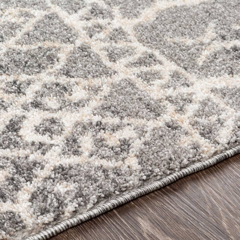 Livabliss Transitional Andorra Trellis Area Rug