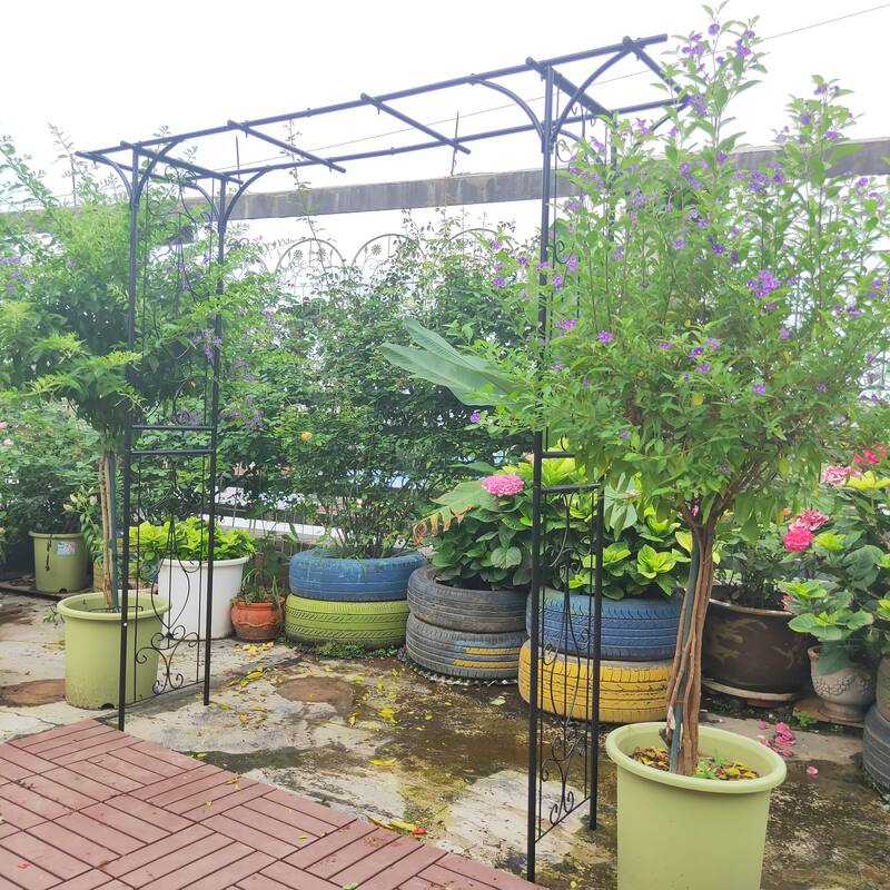 Metal Garden Arch L80.3'' x W20.47'' x H81.1'' Climbing Plants Support Rose Arch Outdoor