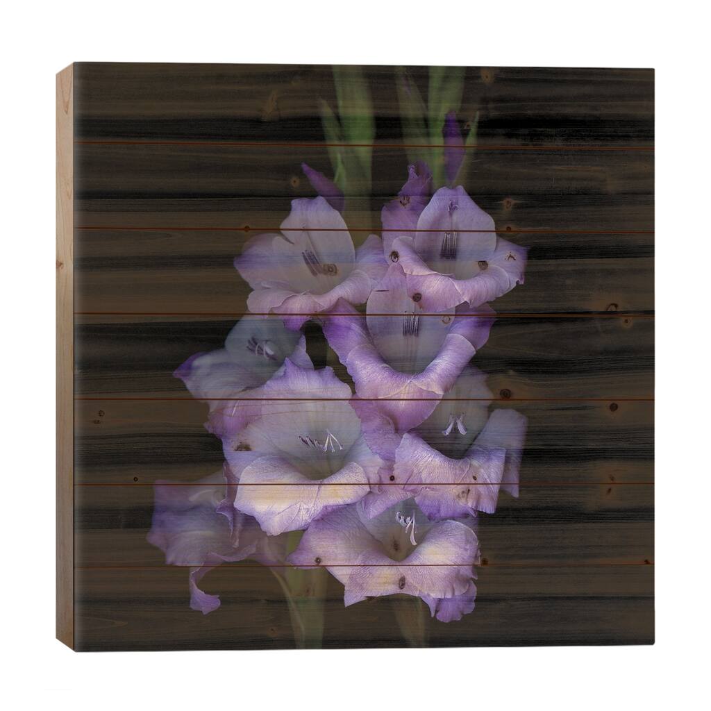 Gladiolus Purple III Print On Wood by Magda Indigo - Multi-Color