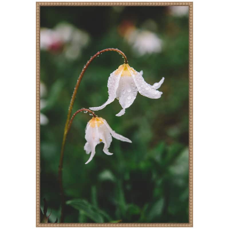 Kate and Laurel Sylvie Delicate White Floral Petals Framed Canvas by Patricia Hasz of Patricia Rae Photography