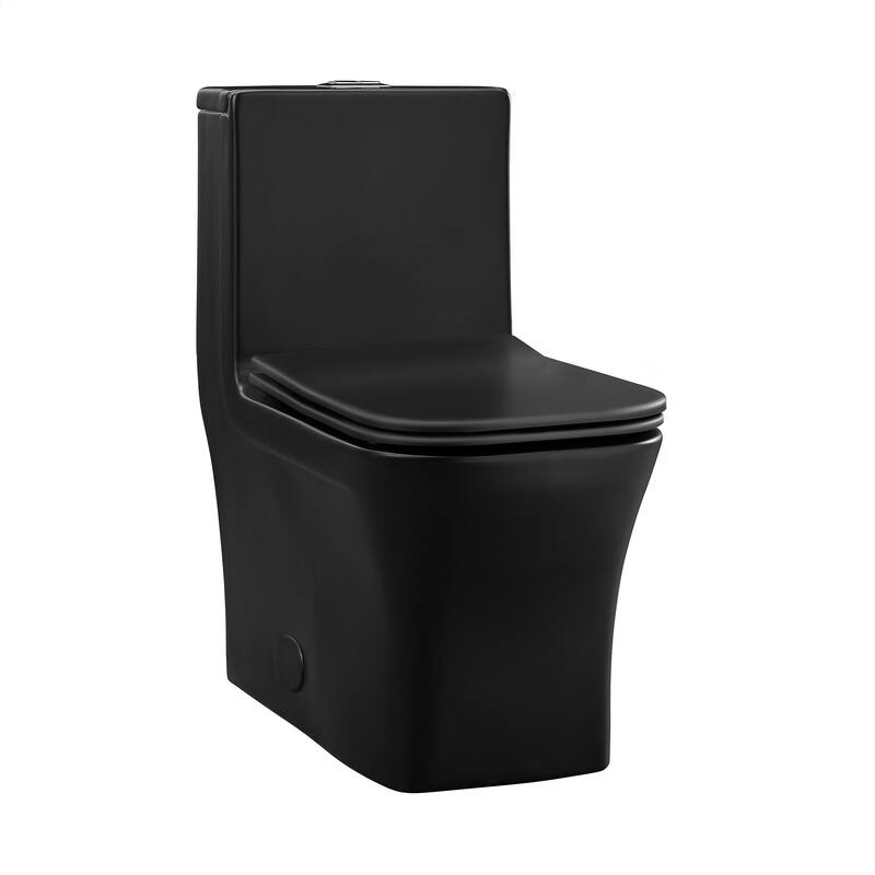 Concorde One Piece Square Toilet Dual Flush, Black Hardware 1.1/1.6 gpf