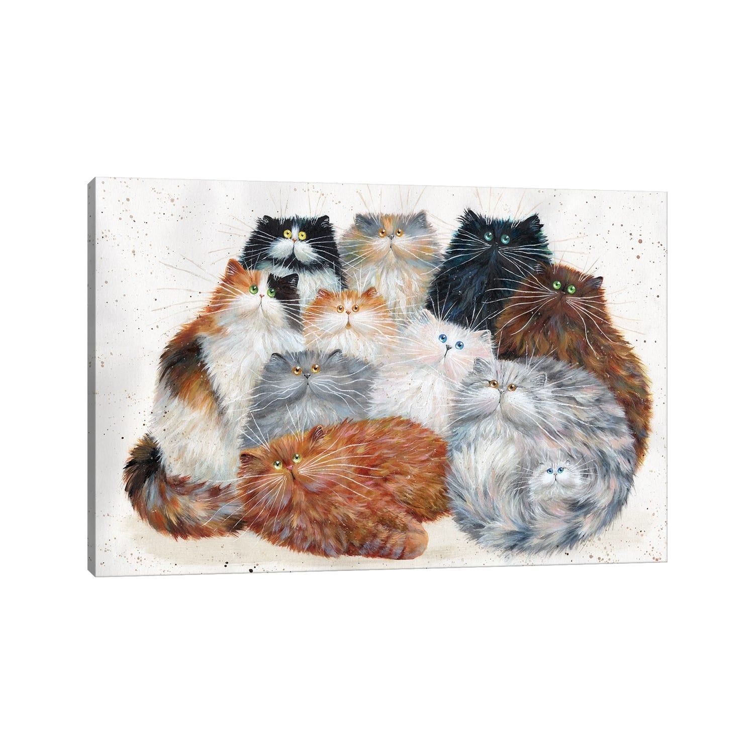 iCanvas "Fluffy Eleven" by Kim Haskins Canvas Print