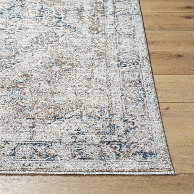 Dobbins Traditional Medallion Area Rug