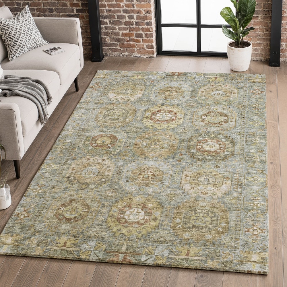 Premium Washable Super Soft Traditional Global Mayfield Rug