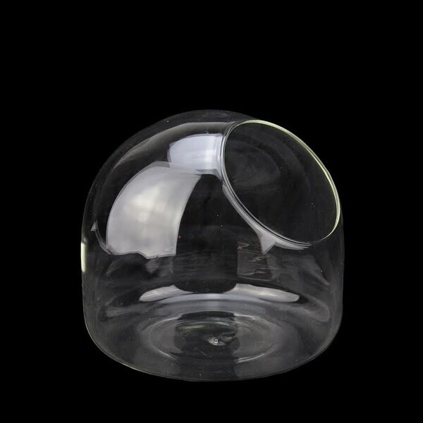 6" Clear Round Orb Glass Tabletop Lucas Terrarium - N/A