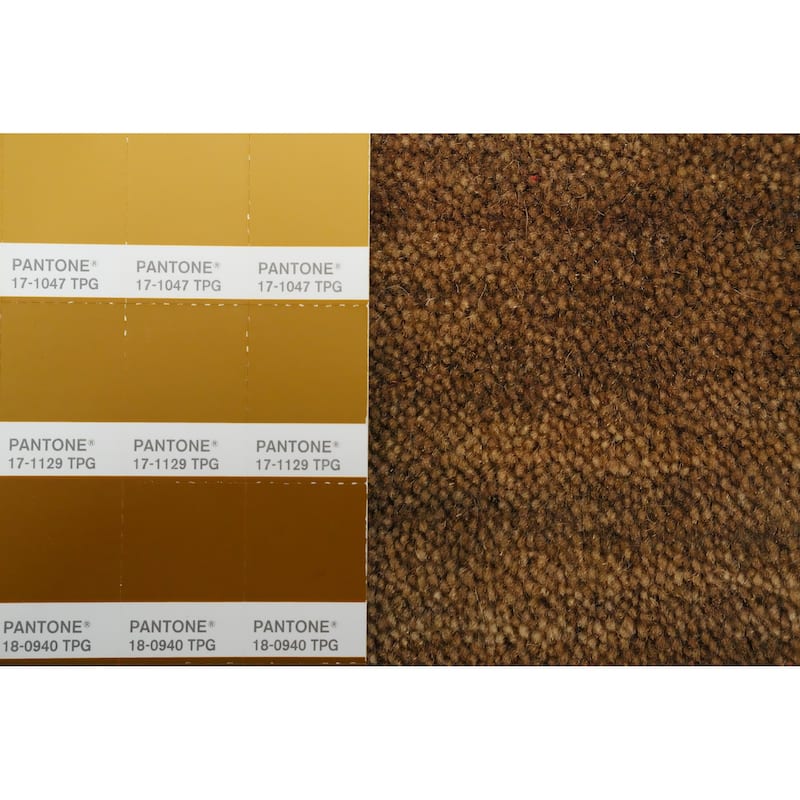 Hand Knotted Oriental 100% Wool Carpet Tribal Animal Pictorial Brown Gabbeh Area Rug - 4' 11'' X 5' 0''