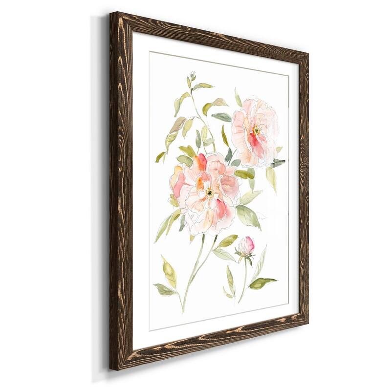 Sketchbook Cottage Rose II-Premium Framed Print - Ready to Hang