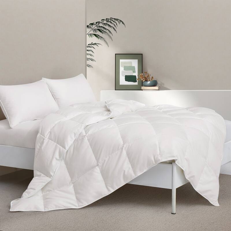 Light&All-Season Warmth White Goose Feather Down Comforter Duvet