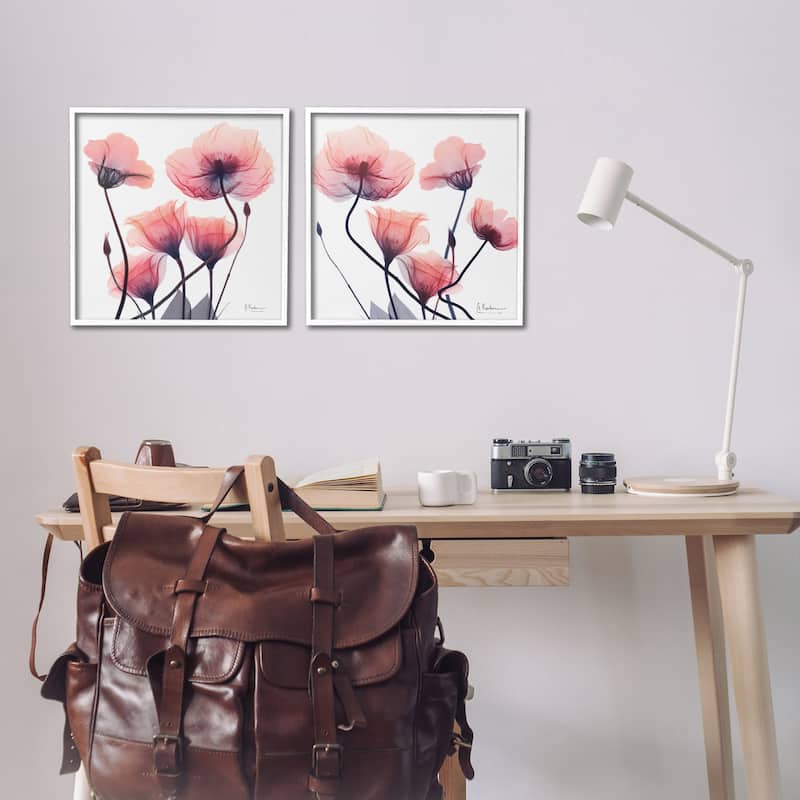 Stupell Various Faded Pink Flowers Framed Giclee Art Design By Albert Koetsier (Set of 2)