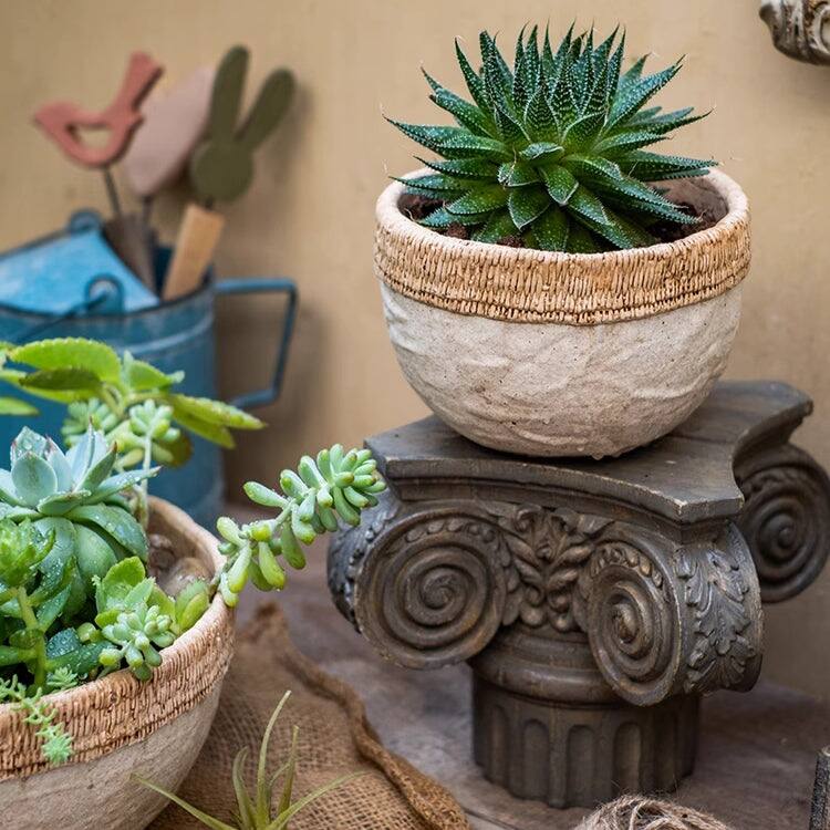 RusticReach Rattan Pattern Edge Cement Planter