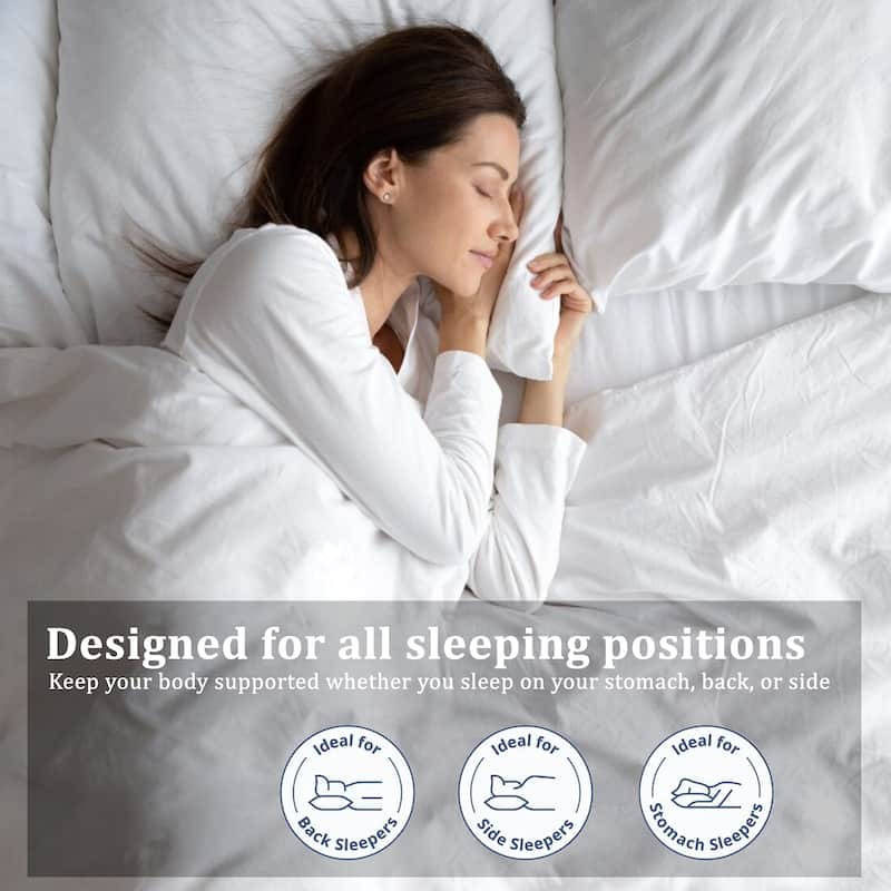 CraftPorch Elegence 2 Pieces Pillow