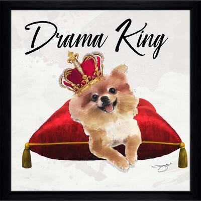"Drama King Pomeranian" by Jodi Print on Acrylic