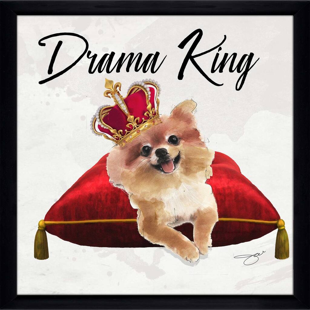 "Drama King Pomeranian" by Jodi Print on Acrylic