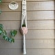 preview thumbnail 4 of 2, 40"L Macrame Plant Hanger