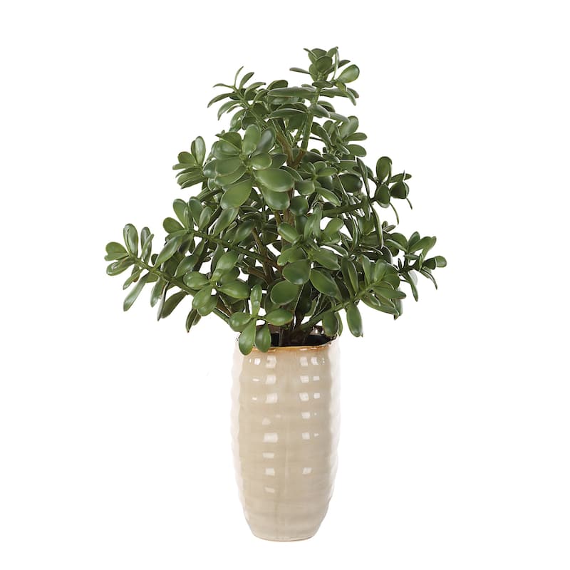 Jade Crassula Artificial plant with Ceramic Pot - 23.5" - Green and Beige