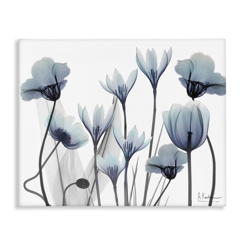 Stupell Delicate Mixed Chic Blooms Canvas Wall Art Design By Albert Koetsier