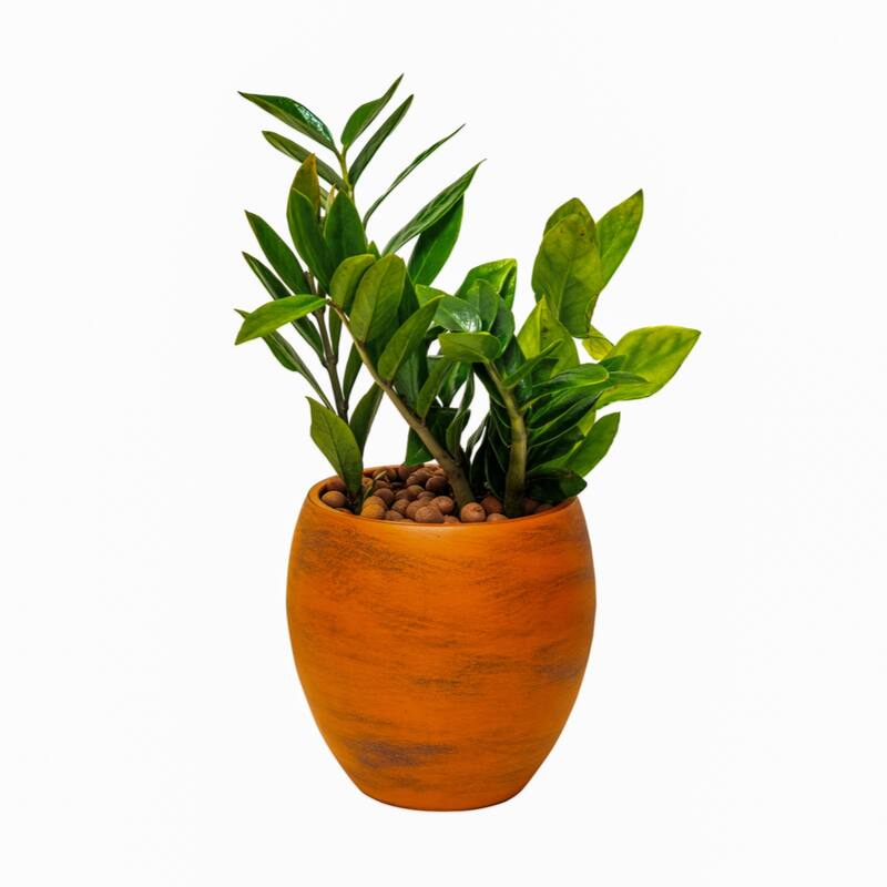 Smart Self-watering Round Planter Pot for Indoor and Outdoor - Terracotta