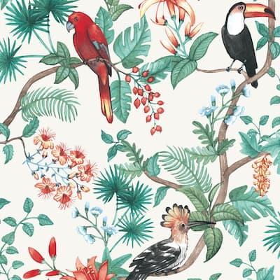 Birds of Paradise Removable Peel and Stick Wallpaper, 56 sq. ft.