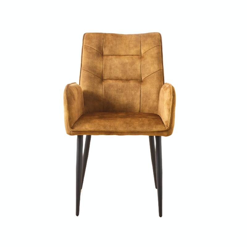 Velvet Dining Chairs (Set of 2) - Stain-Resistant, Iron Frame