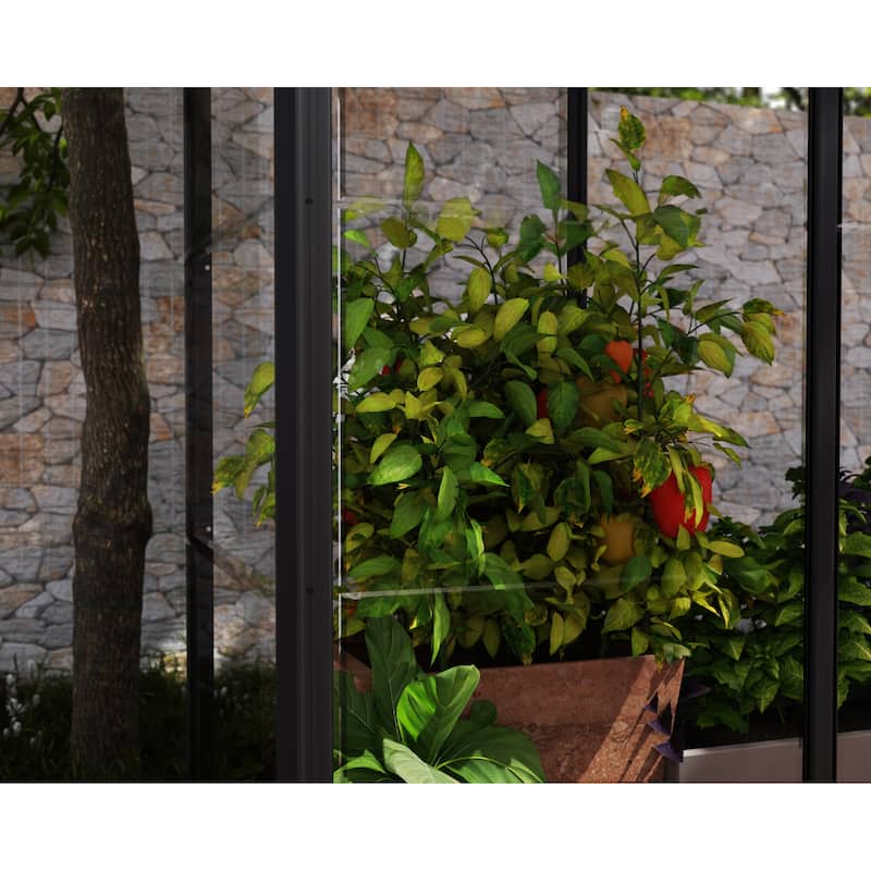 Ivy 4 ft. x 2 ft. Black/Clear Mini Greenhouse Kit - 4ft. x 2ft.