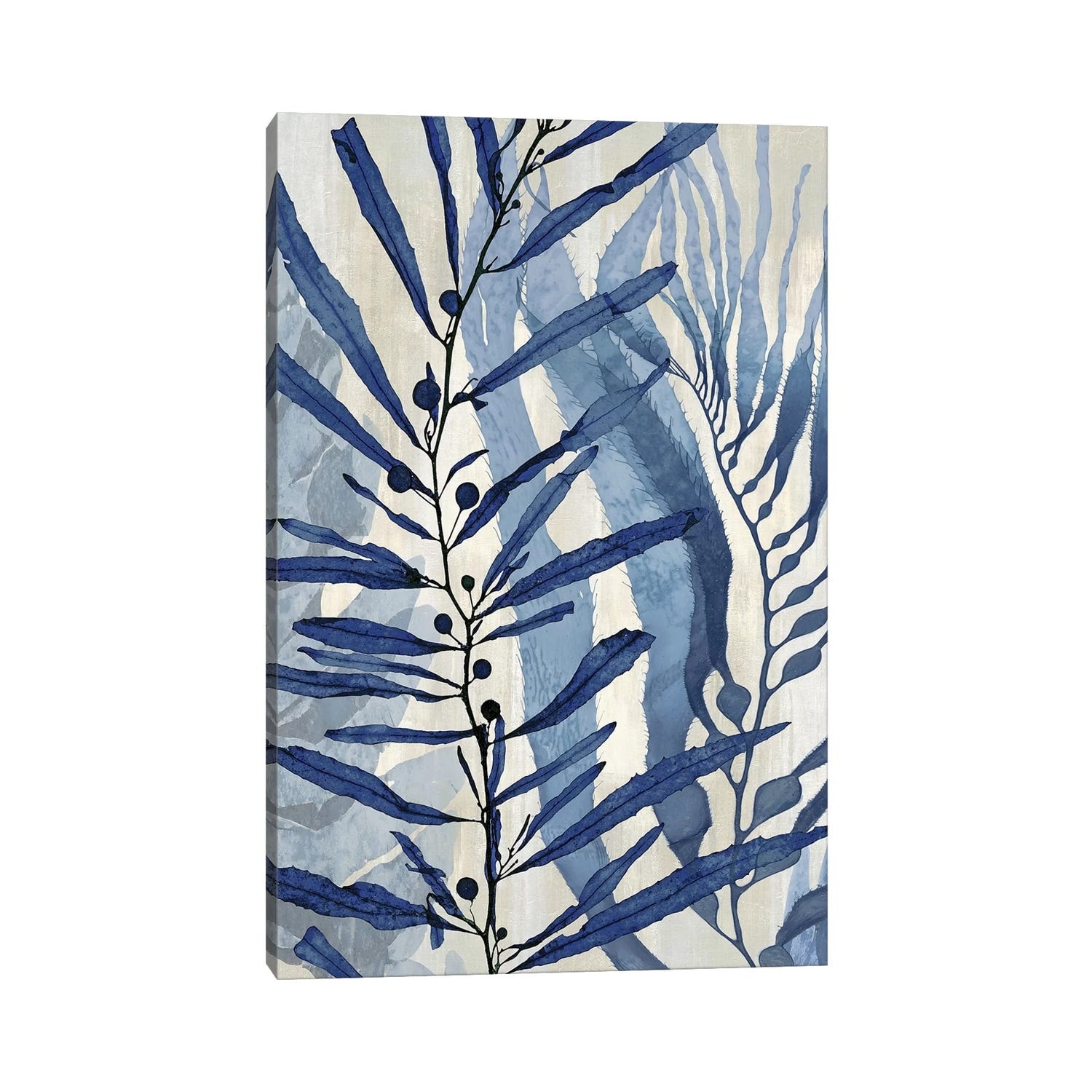 iCanvas "Sea Nature In Blue II" by Melonie Miller Canvas Print
