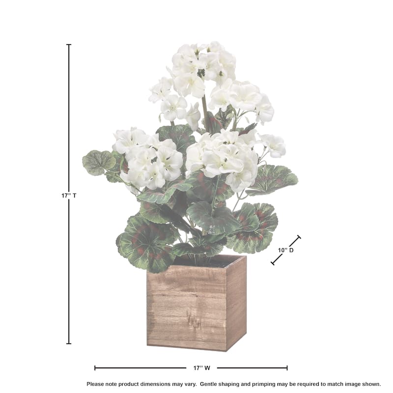 Potted Geranium In Wood Box 16.5"