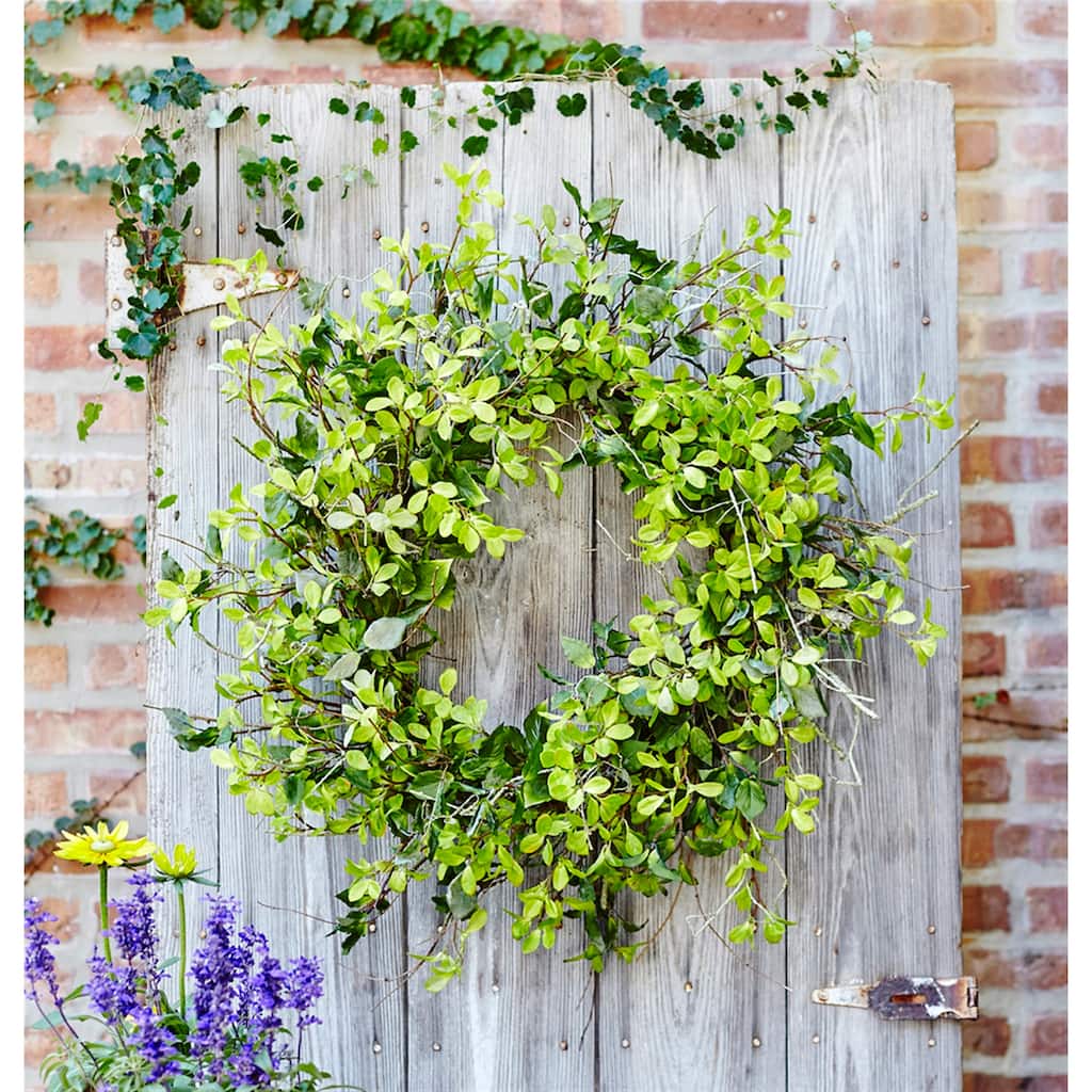 Oversized Mixed Foliage Twig Wreath 30"D