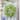 Oversized Mixed Foliage Twig Wreath 30"D