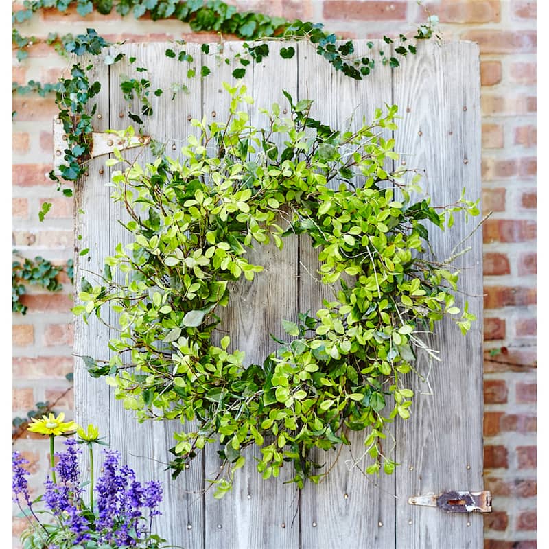 Oversized Mixed Foliage Twig Wreath 30"D
