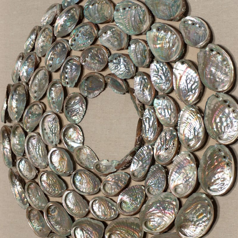 HUJI Abalone Shell Rings Shadow Box Wall Decor