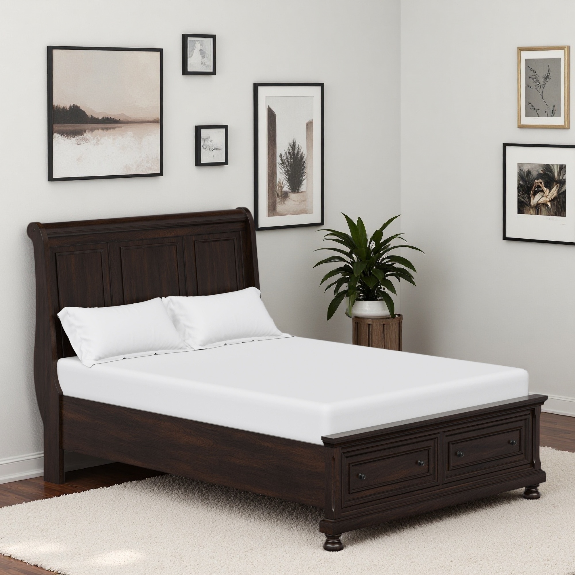 Queen Size Wood Storage Bed with Two Drawers