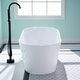 preview thumbnail 3 of 28, Freestanding Acrylic Soaking Bathtub With Chrome Drain And Overflow Holes