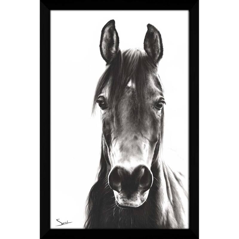 "Horse Portrait" by Eric Sweet Print on Acrylic