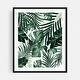 Tropical Jungle Leaves Pattern 4 Photography Botany Art Print/Poster ...