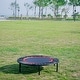 preview thumbnail 6 of 15, 40"Mini Exercise Trampoline for Adults or Kids - Indoor Fitness Rebounder Trampoline with Safety Pad