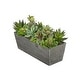 preview thumbnail 2 of 10, Faux Succulent Garden in Wood Washed Ledge Planter