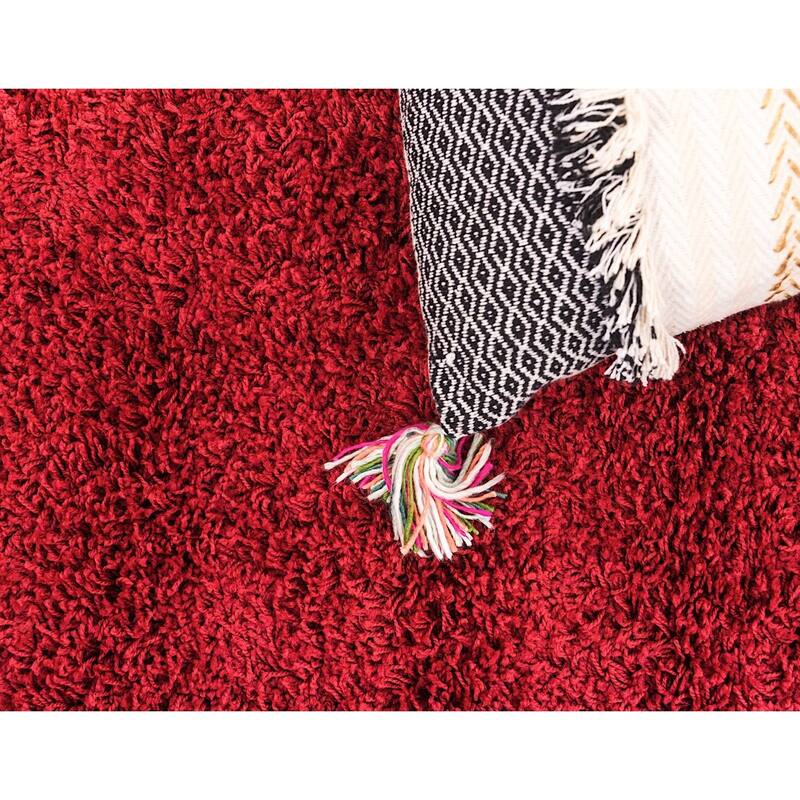 Shag Laurian Collection Area Rug