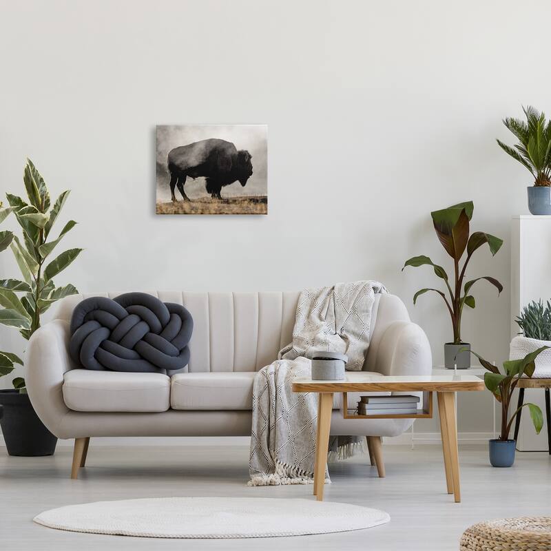 Stupell Powerful Bison Grazing Foggy Rural Pasture Photography Canvas Wall Art, Design by Danita Delimont