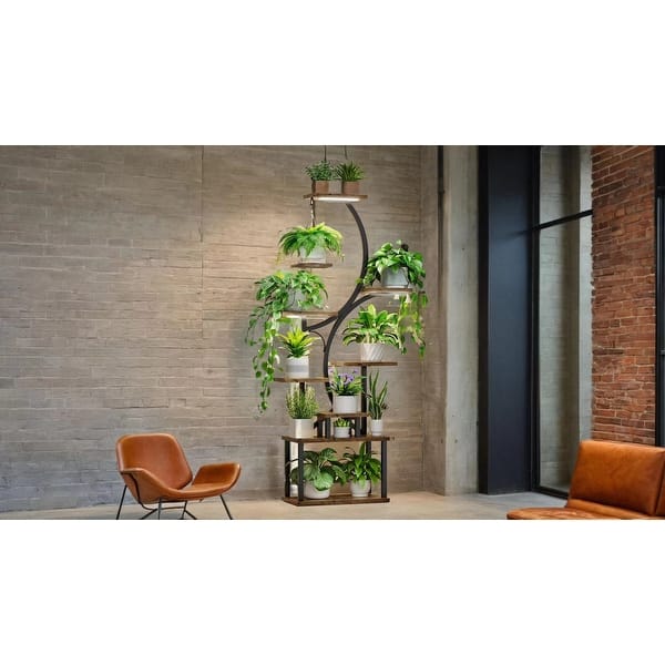 baby philodendron birkin Philodendron Birkin – Lichtenfelt's