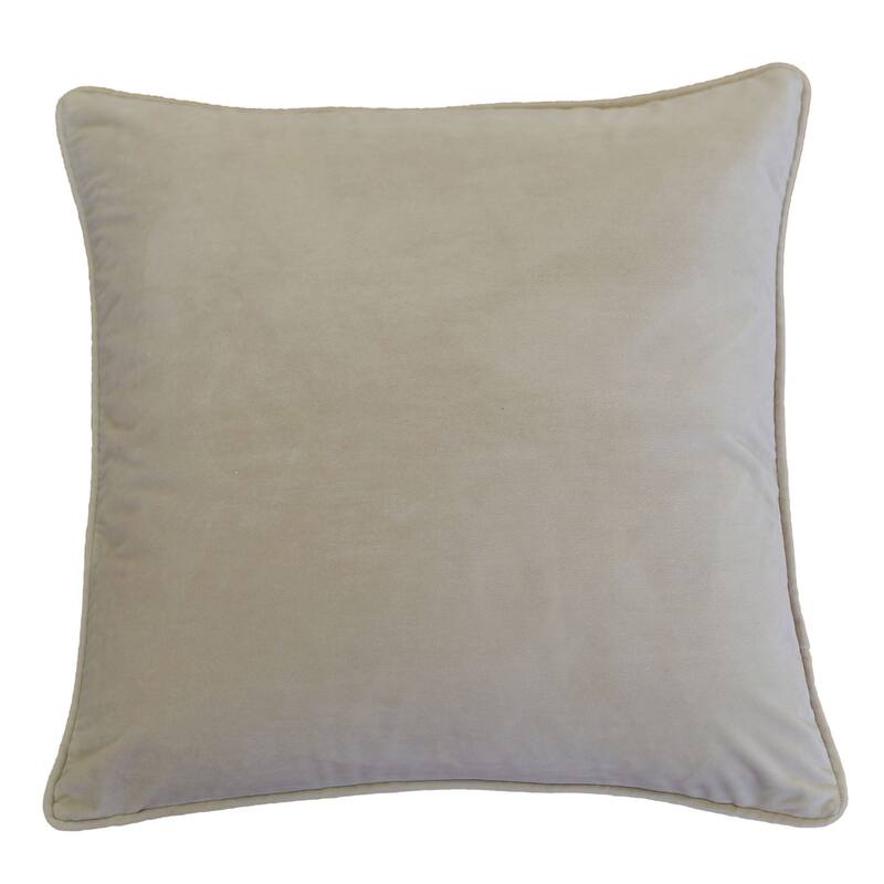 Elisa Velvet 20" Square Decorative Throw Pillow 2PK - Beige