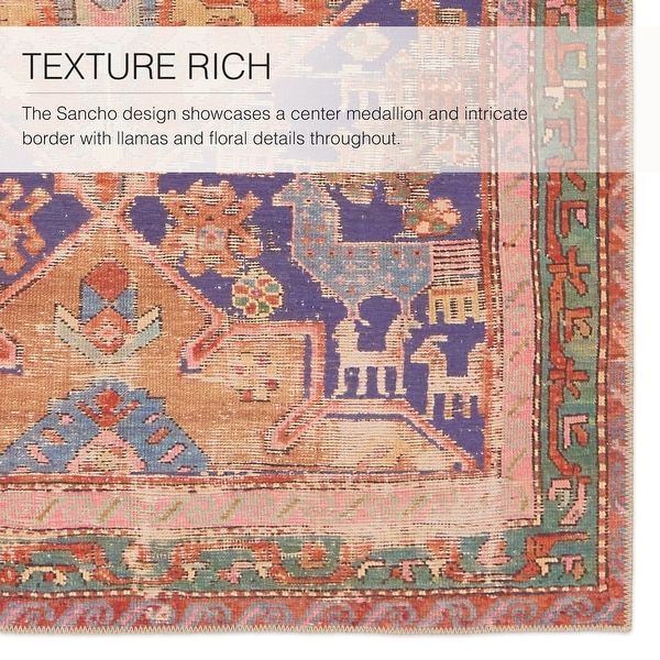 Sancho Machine Washable Rug, Boho - On Sale - Bed Bath & Beyond
