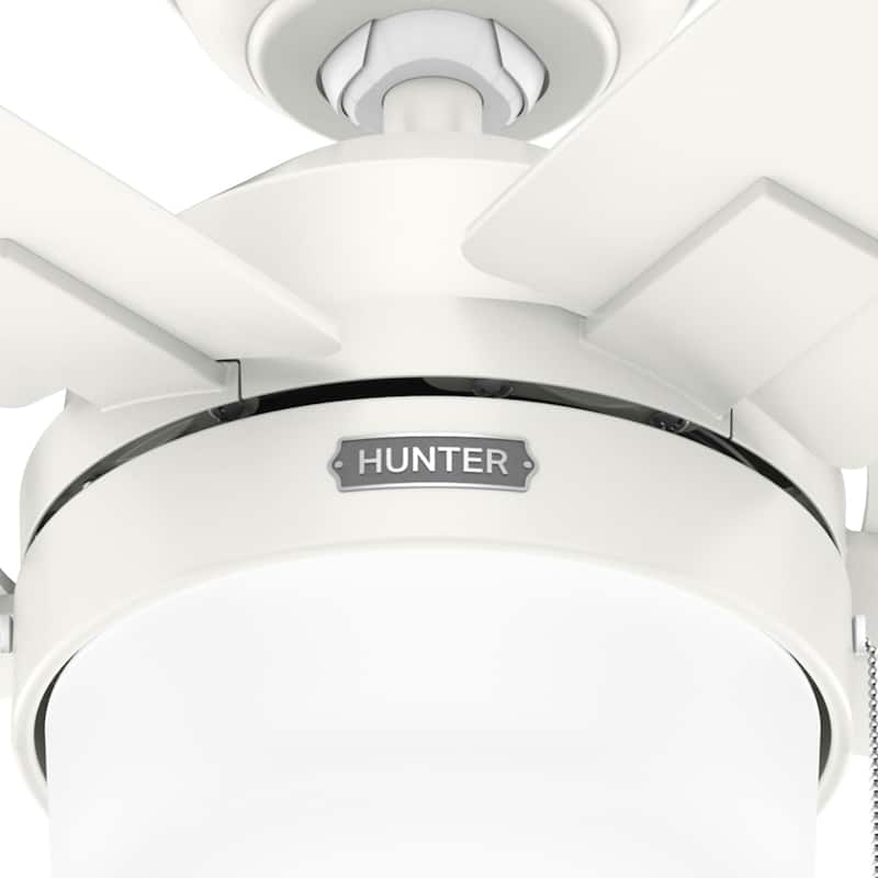 Hunter Anisten Ceiling Fan with LED Light Kit and Pull Chain, Modern, Contemporary