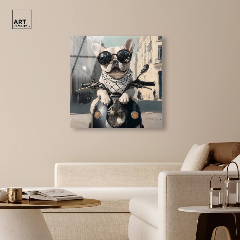 Frenchie on a Scooter Drive Acrylic by Art Remedy, Ready to Hang