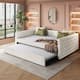 Option Ivory