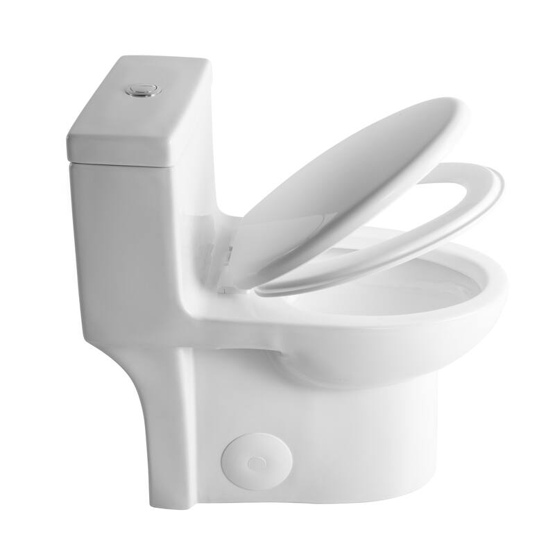1.6/1.1GPF Dual-Flush One-Piece Toilet, Elongated ADA, 1000g MAP,White