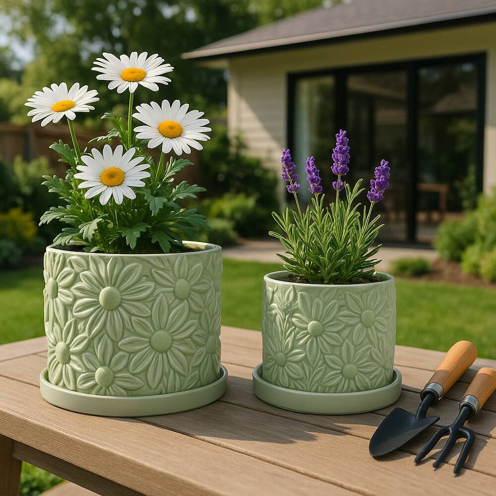 Ceramic Daisy Flower Planter (Set of 2) - 6"